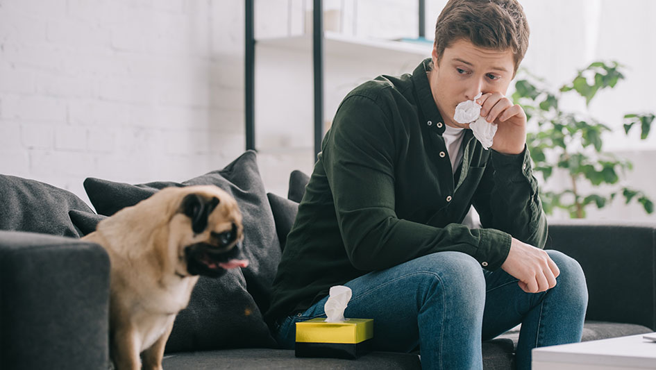 Installing an air purifier is one of the best approaches to enhance your house’s indoor air quality. Find out more about the three smartest products. 